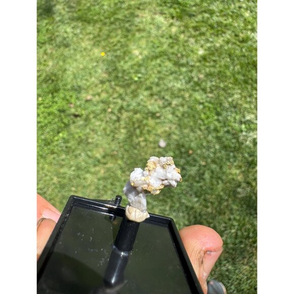 Gold on Quartz - Natural California Gold Specimen in Perky Display Box - #5 - Picture 3 of 6